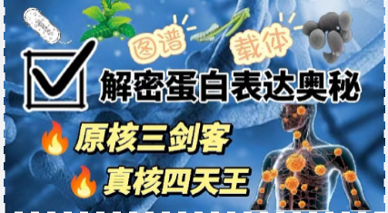 解锁蛋白表达奥秘：原核三剑客&真核四天王，载体图谱全解析