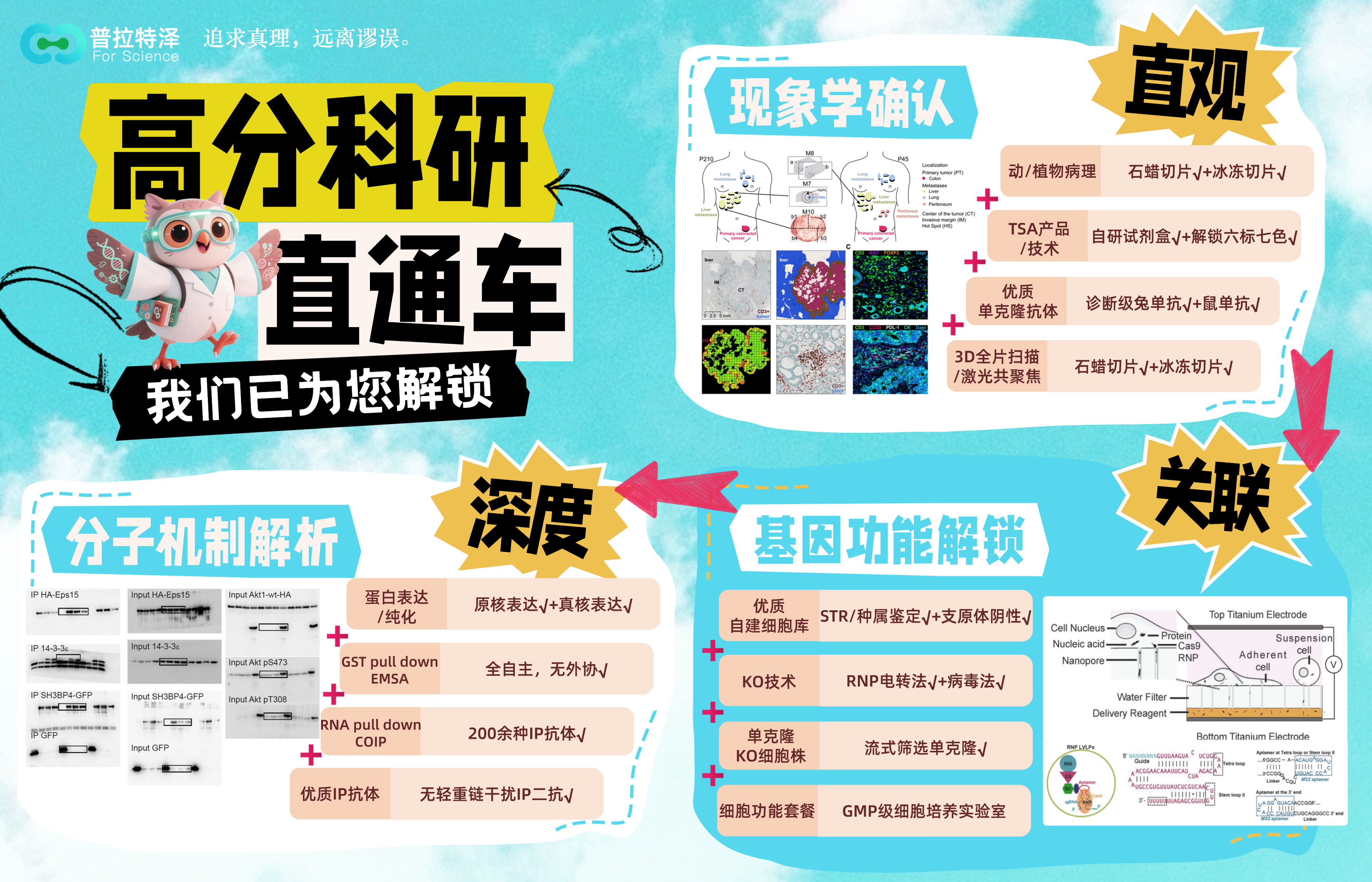 节后实验培训班排班出炉~国庆后培训不停歇！