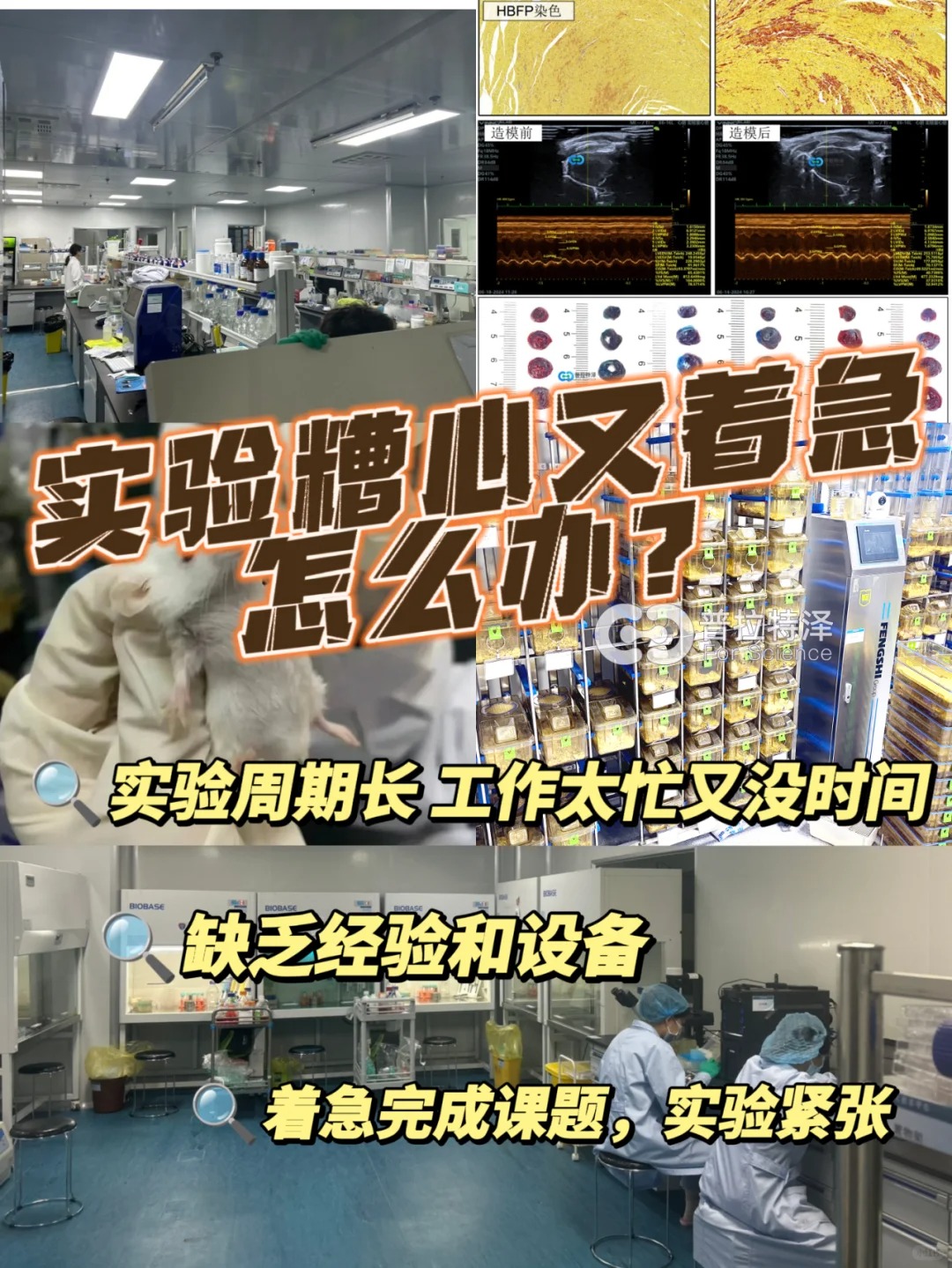生物实验读再多书不如实践一次学得多！