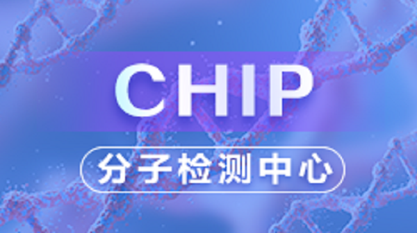 CHIP检测（实操篇）