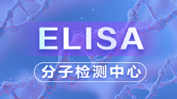ELISA（理论篇）