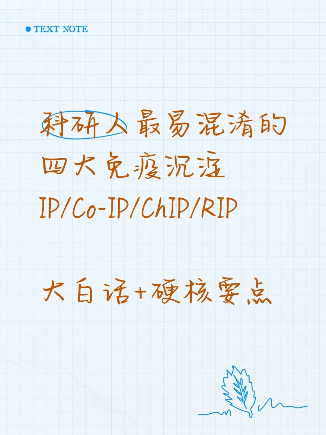 一文分清！IP/Co-IP/RIP/ChIP等互作实验，别再搞混了