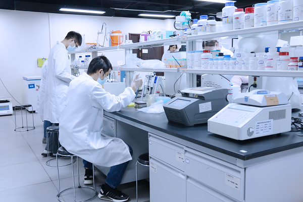 一文分清！过表达、敲除、敲低，基因功能研究的“三大核心工具”