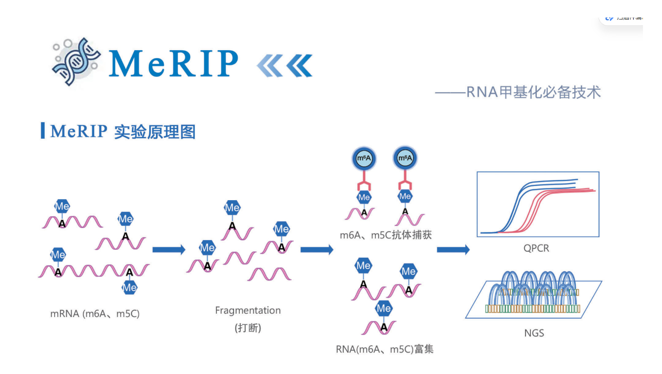 ChIP-qPCR结果不会解读？一文搞定数据计算、判读标准与避坑要点