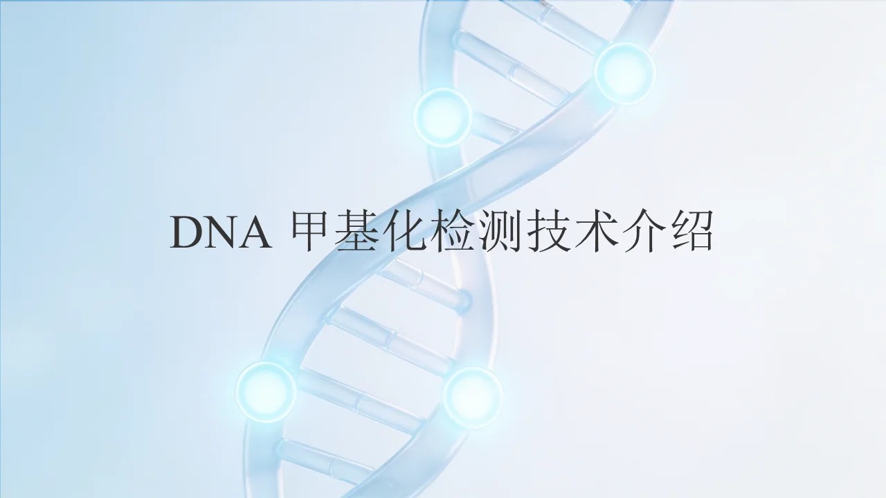 一文理清DNA甲基化检测：原理、主流方法与适用场景