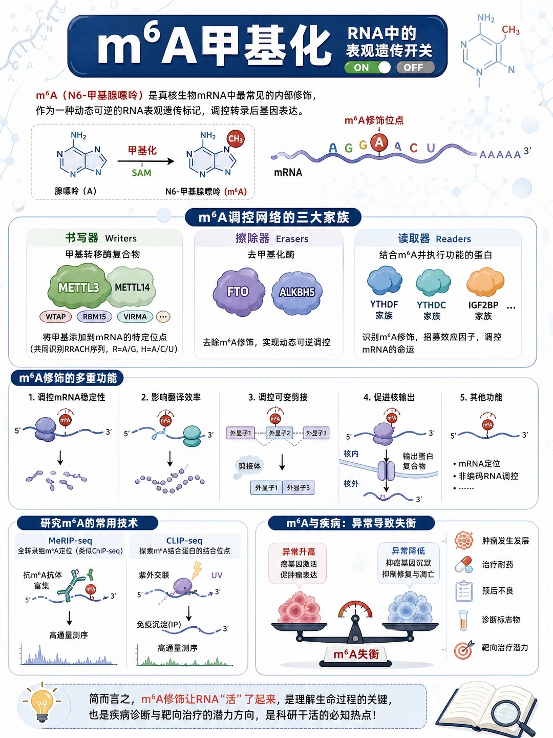 细胞的&ldquo;RNA密码&rdquo;｜RNA甲基化如何调控基因表达？怎么测？
