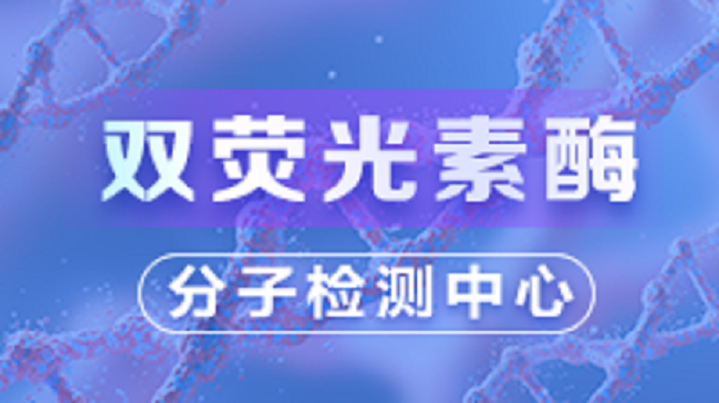 双荧光素酶(理论篇)