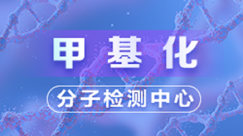 甲基化（理论篇）