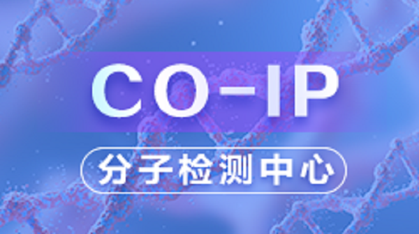 Co-IP实验（实操篇）