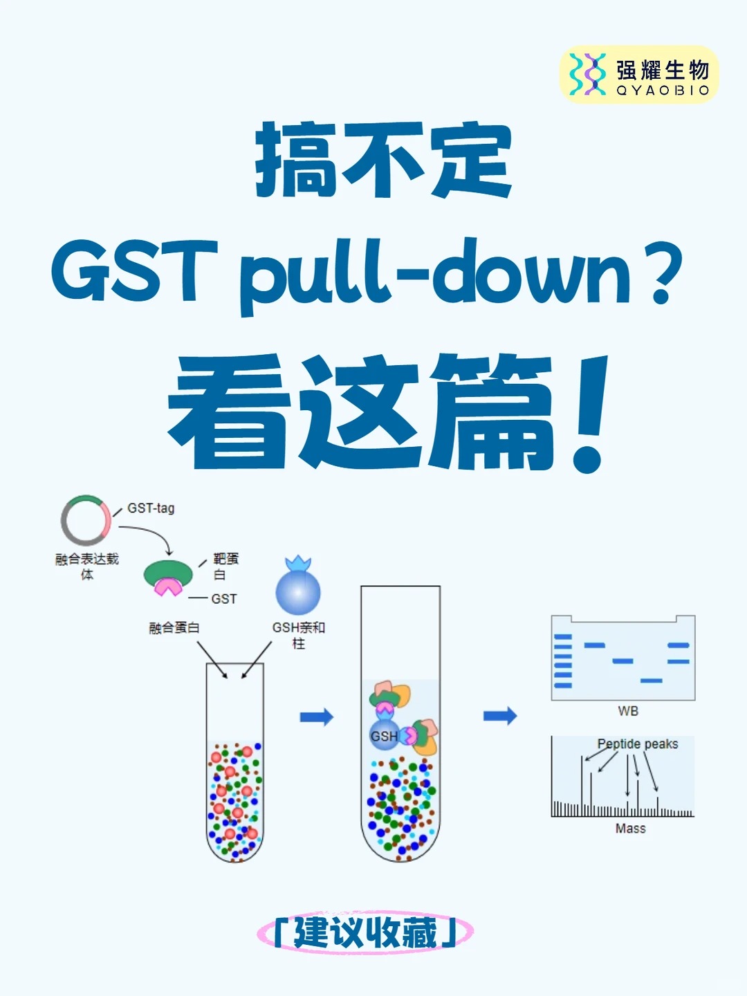 搞不定GST pulldown?看这一篇就够了！
