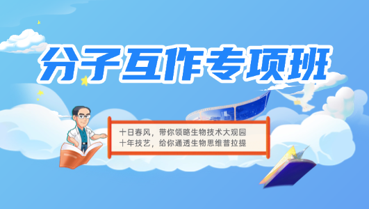 分子互作专项班