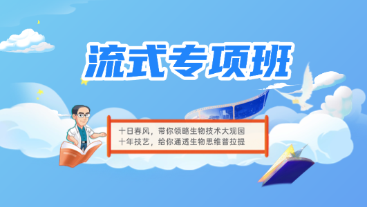 流式专项班