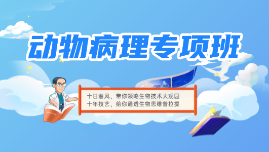 动物病理专项班