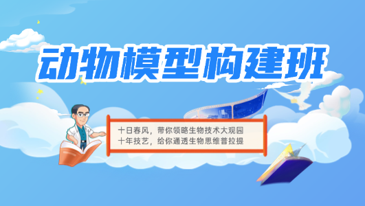 动物模型构建班