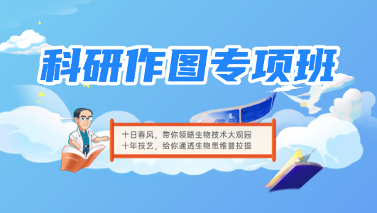 科研作图专项性班