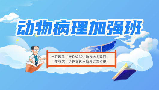 动物病理加强班