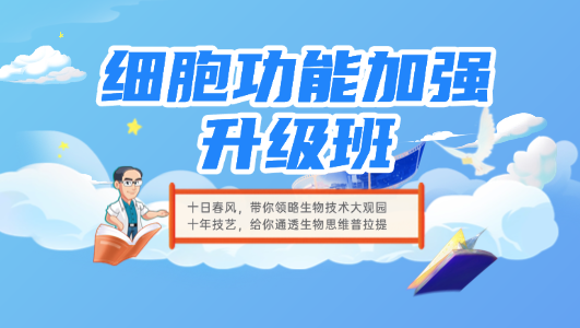细胞功能加强升级班