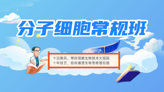 分子细胞常规班