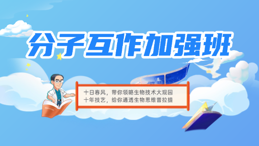 分子互作加强班