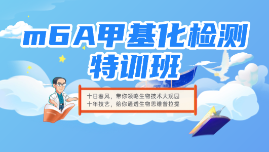 m6A甲基化检测特训班