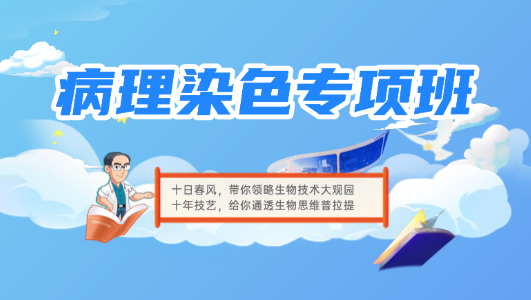 病理染色专项班