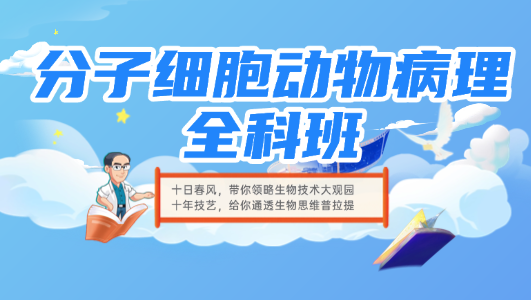 分子细胞动物病理全科班