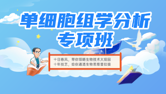 单细胞组学分析专项班