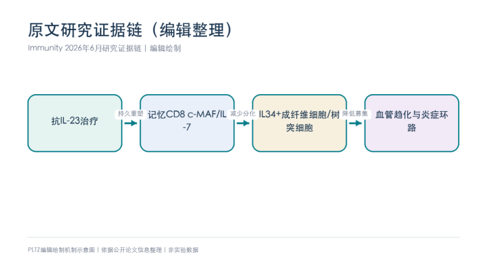 停药36周后炎症环路为何仍被压住？Immunity用单细胞+空间图谱回答