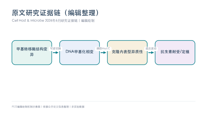 菌株基因没变，耐药表型却能切换：CHM揭示肠道菌的表观遗传&ldquo;押注&rdquo;