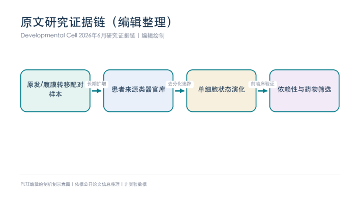阑尾癌腹膜转移怎么做模型？Developmental Cell建成16例类器官生物库