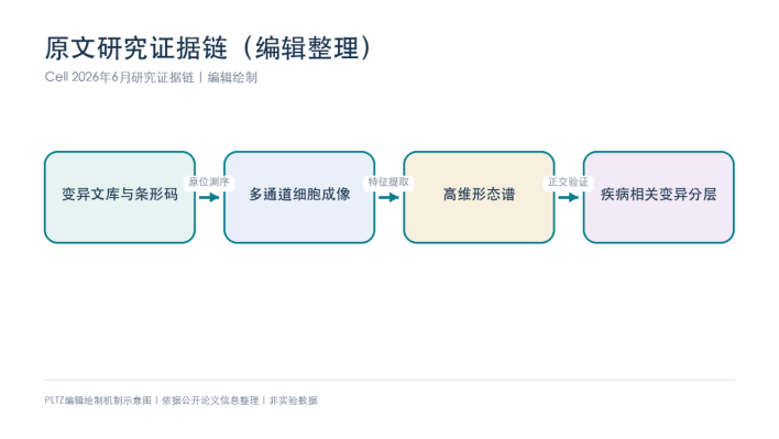 别再用一个指标给变异定性：Cell用VIS-seq看见3000个变异的多维表型