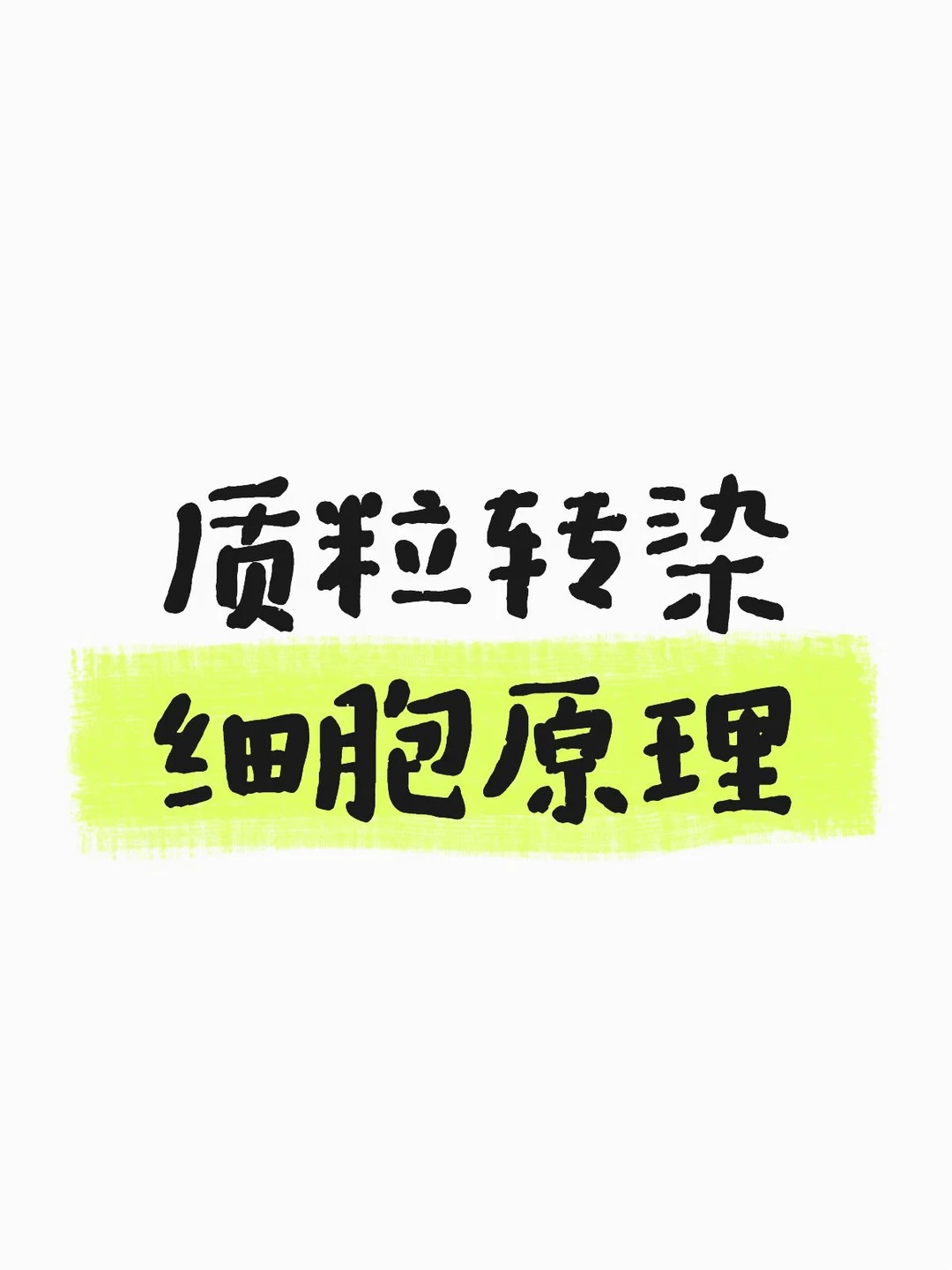 细胞转染方法原理操作流程protocol