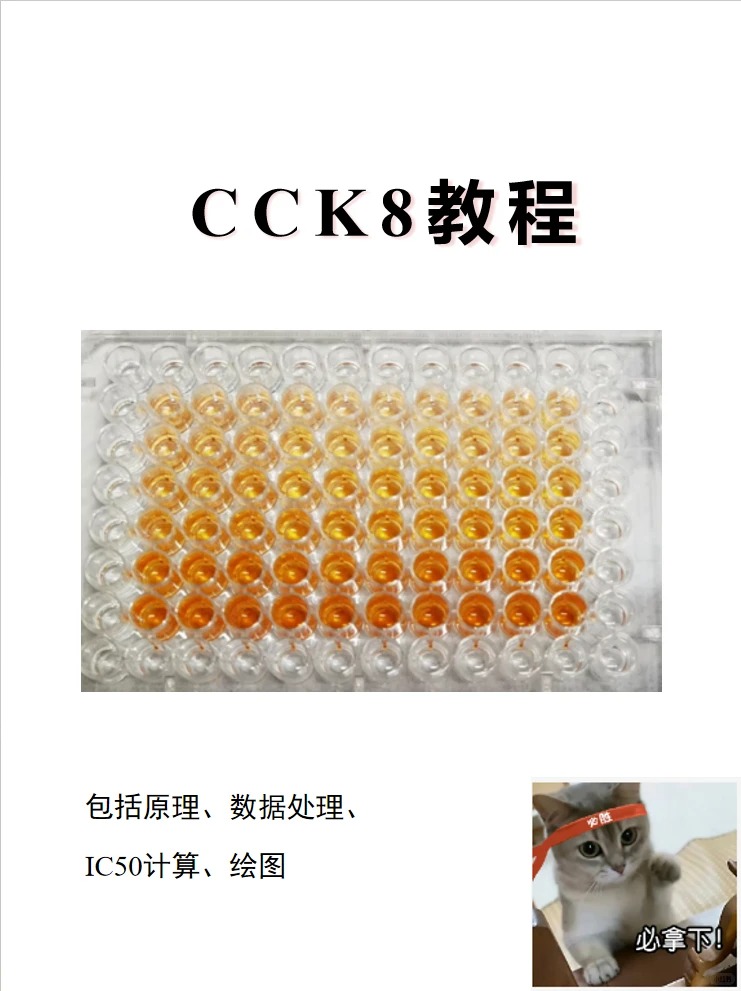 CCK-8 药物增殖实验完整实操流程｜细胞铺板&rarr;药液配制&rarr;给药要点汇总