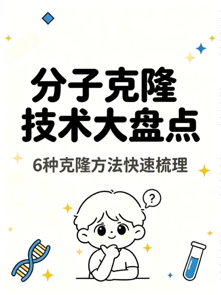 一文看懂 6 大主流分子克隆技术，质粒构建不再迷茫