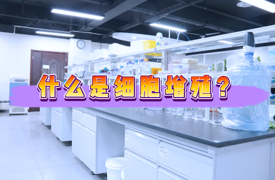 什么是细胞增殖？&mdash;&mdash;细胞增殖检测外包