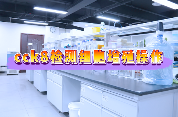 cck8法检测细胞增殖详细操作步骤【附视频教程】
