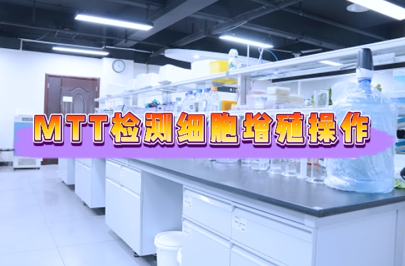 细胞增殖检测之MTT法【附视频教程】
