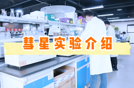 什么是彗星实验？【附视频教程】