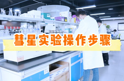彗星实验/单细胞凝胶电泳实验操作步骤【附视频教程】