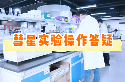 彗星实验操作常见问题答疑【附视频教程】