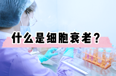 细胞衰老的介绍与研究意义是什么？