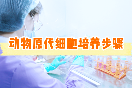 动物细胞原代培养操作步骤【细胞实验外包】