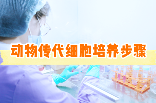 动物细胞传代培养详细步骤【细胞实验外包】