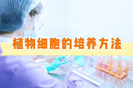 植物细胞的培养方法总结【细胞实验外包】