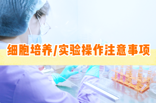 细胞培养/细胞实验操作注意事项【细胞实验外包】