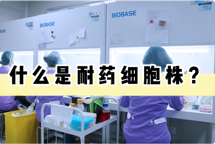 什么是耐药细胞株？【耐药细胞株构建】
