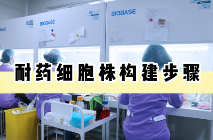 耐药细胞株构建详细步骤步骤【耐药细胞株构建外包】