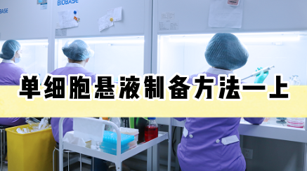 单细胞悬液制备方法&mdash;上【细胞实验外包】