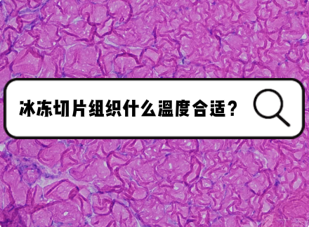 组织做冰冻切片一般是什么温度比较合适？