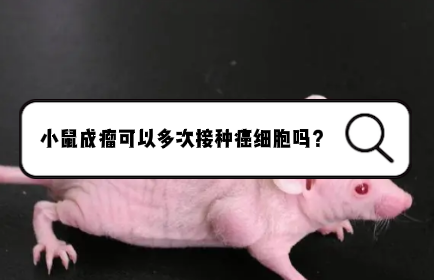 小鼠成瘤不理想可以多次接种吗？